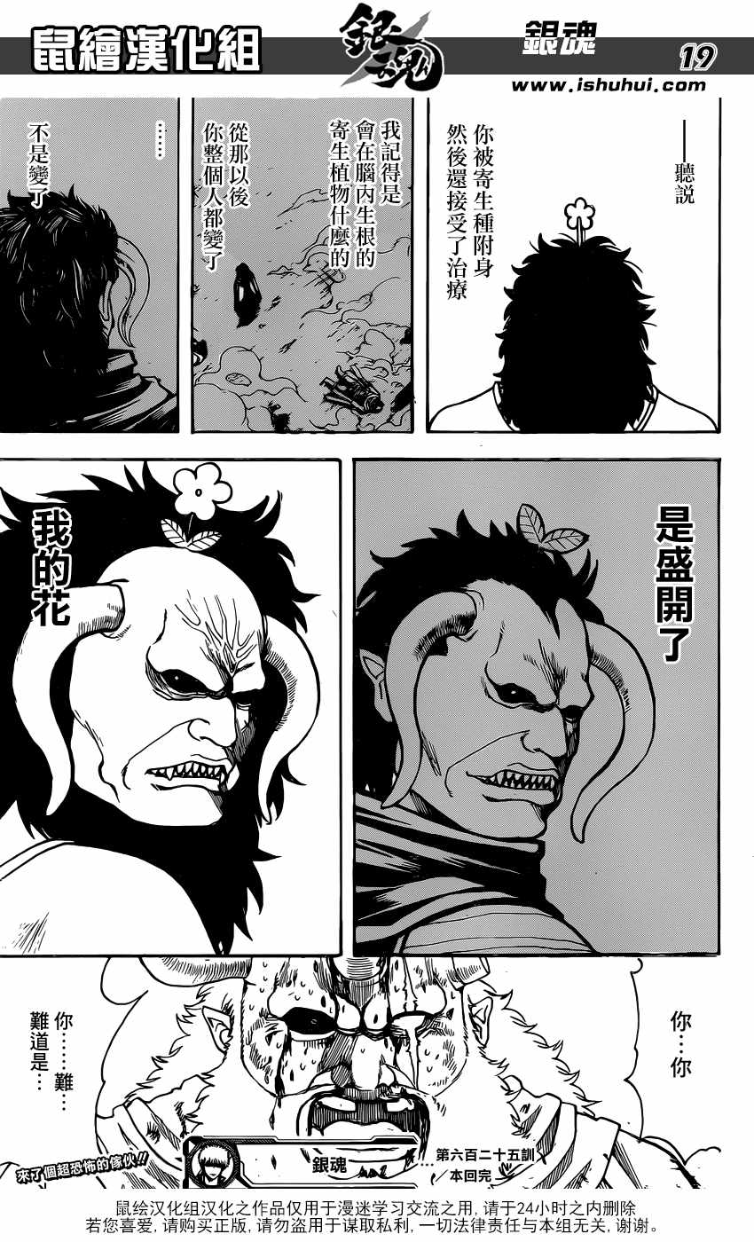 《银魂》漫画最新章节第625话免费下拉式在线观看章节第【19】张图片