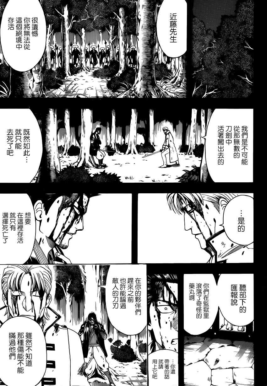 《银魂》漫画最新章节第548话免费下拉式在线观看章节第【12】张图片