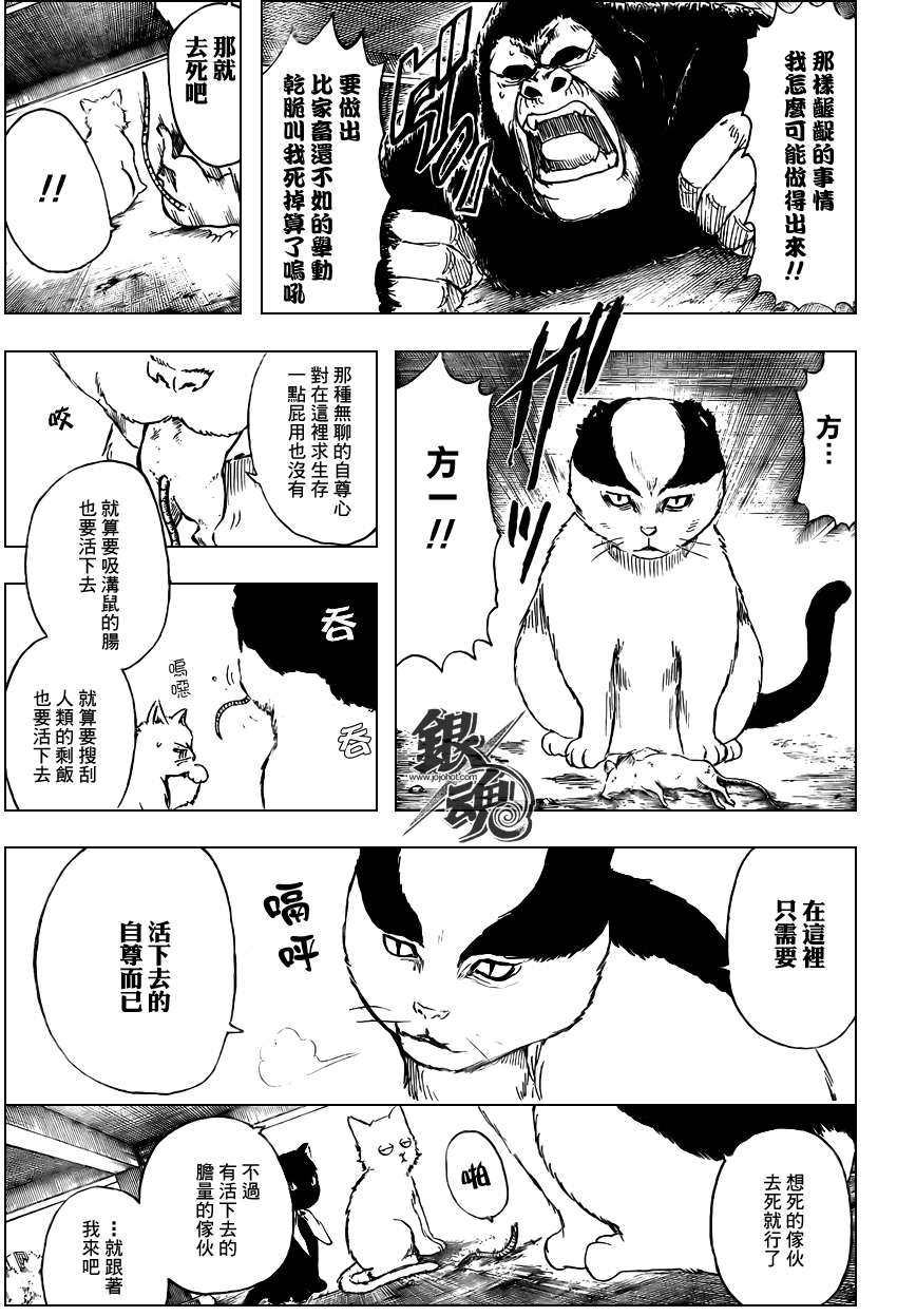 《银魂》漫画最新章节第276话免费下拉式在线观看章节第【3】张图片