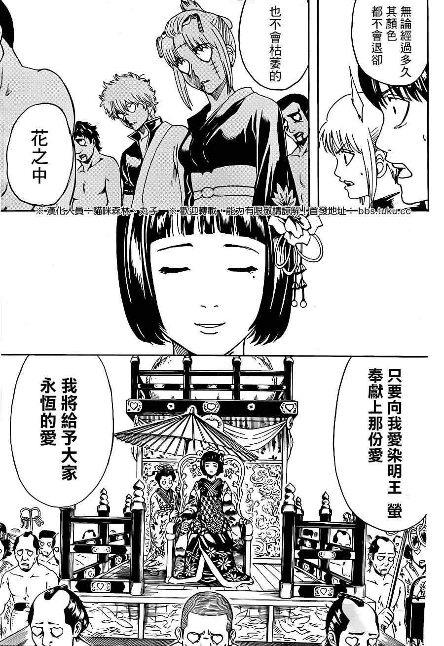 《银魂》漫画最新章节第494话免费下拉式在线观看章节第【11】张图片