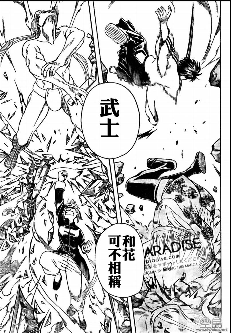 《银魂》漫画最新章节第304话免费下拉式在线观看章节第【15】张图片