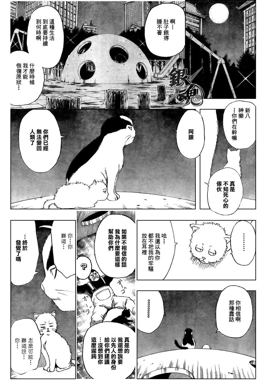 《银魂》漫画最新章节第277话免费下拉式在线观看章节第【6】张图片