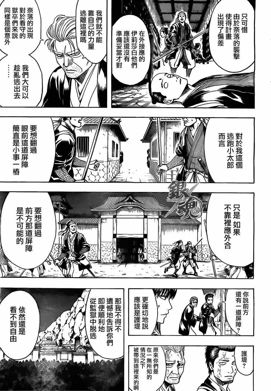 《银魂》漫画最新章节第531话免费下拉式在线观看章节第【5】张图片