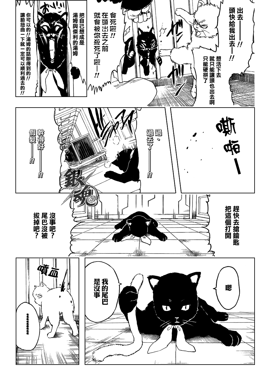 《银魂》漫画最新章节第278话免费下拉式在线观看章节第【10】张图片