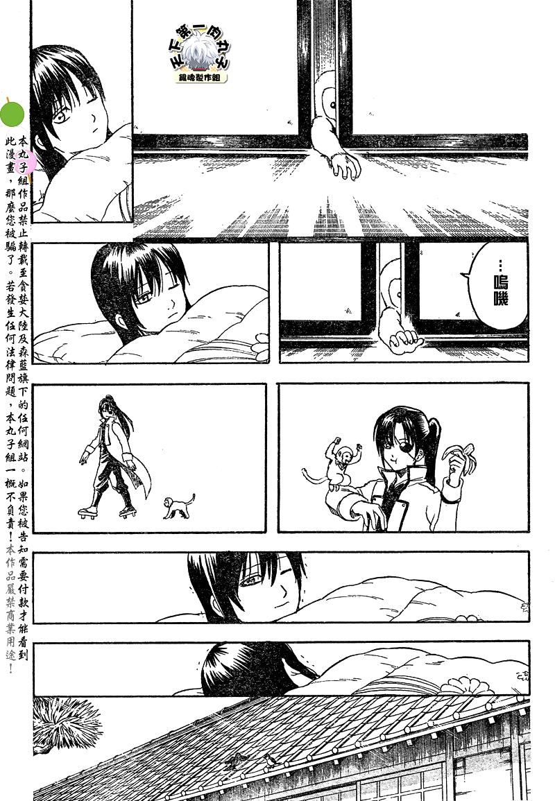 《银魂》漫画最新章节第315话免费下拉式在线观看章节第【4】张图片