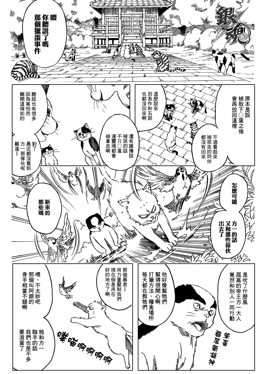 《银魂》漫画最新章节第277话免费下拉式在线观看章节第【4】张图片