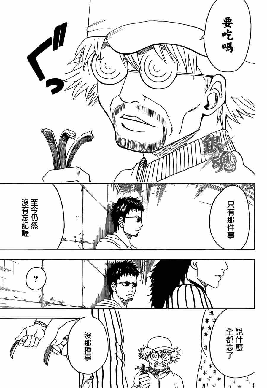 《银魂》漫画最新章节第432话免费下拉式在线观看章节第【17】张图片