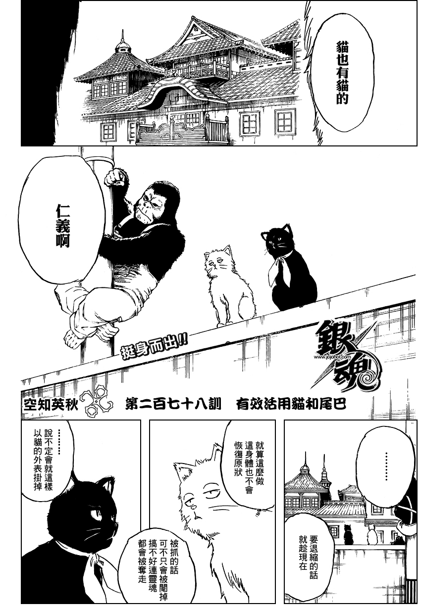 《银魂》漫画最新章节第278话免费下拉式在线观看章节第【4】张图片