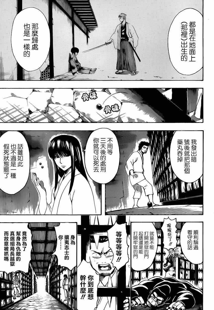 《银魂》漫画最新章节第529话免费下拉式在线观看章节第【7】张图片