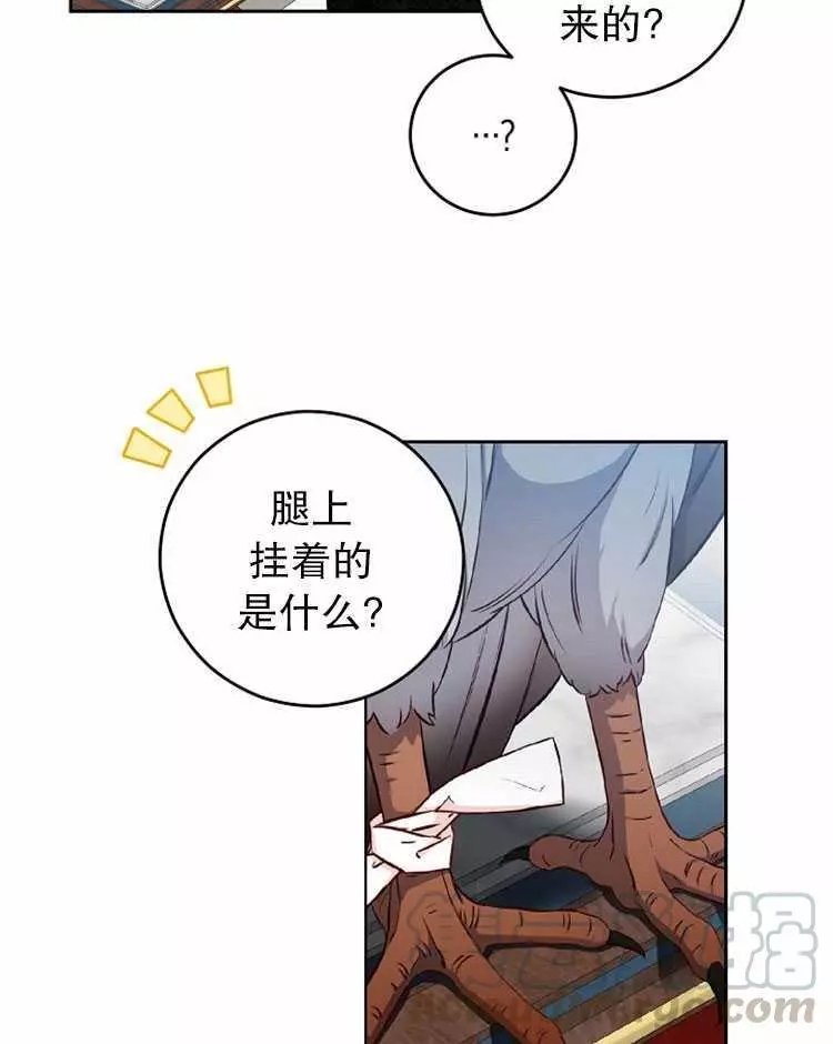 《好像掉进女尊游戏了》漫画最新章节第21话免费下拉式在线观看章节第【21】张图片