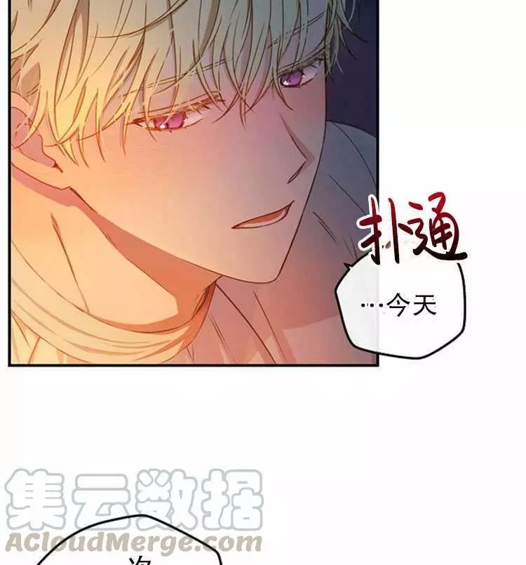 《好像掉进女尊游戏了》漫画最新章节第23话免费下拉式在线观看章节第【65】张图片