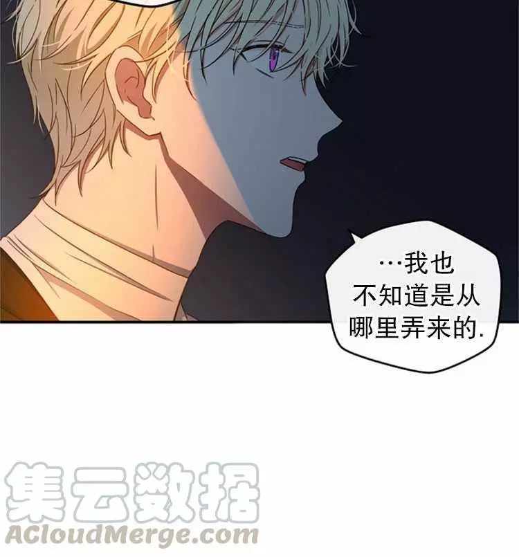 《好像掉进女尊游戏了》漫画最新章节第23话免费下拉式在线观看章节第【61】张图片