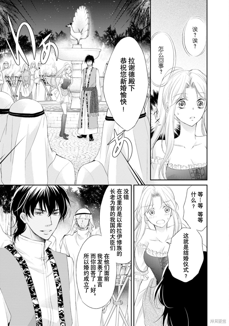 《沙漠王子与海盗公主》漫画最新章节短篇免费下拉式在线观看章节第【24】张图片