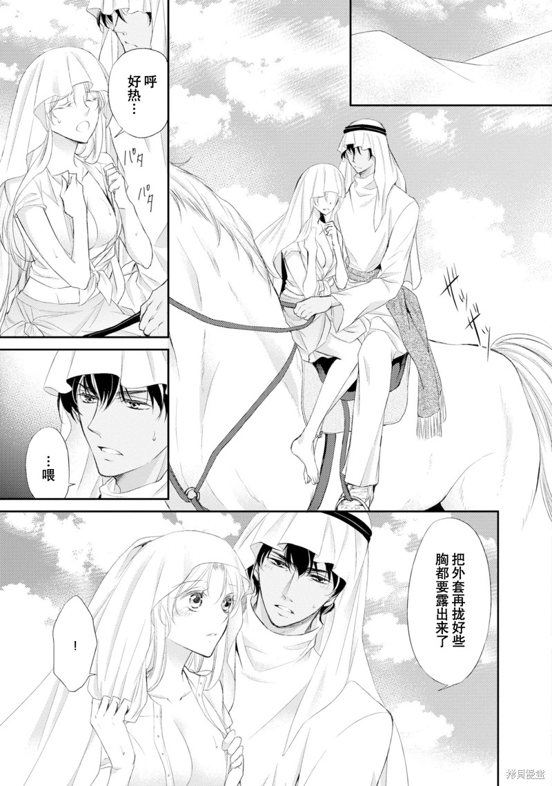 《沙漠王子与海盗公主》漫画最新章节短篇免费下拉式在线观看章节第【88】张图片