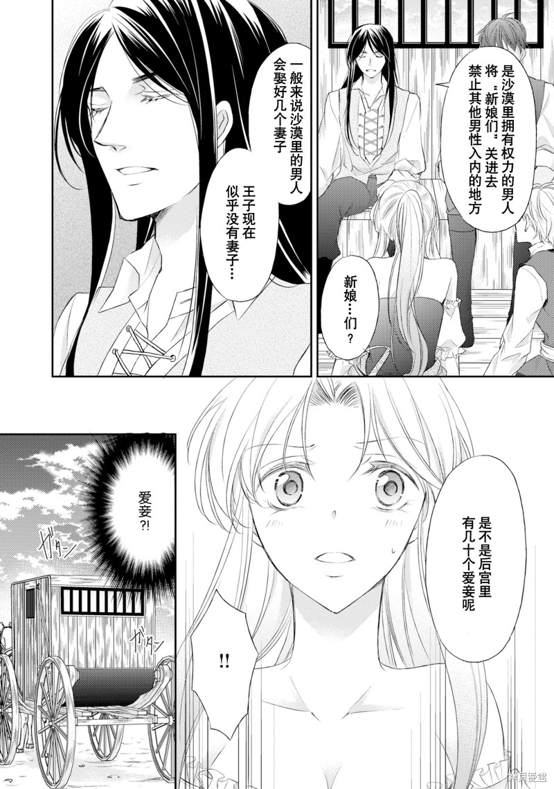 《沙漠王子与海盗公主》漫画最新章节短篇免费下拉式在线观看章节第【21】张图片