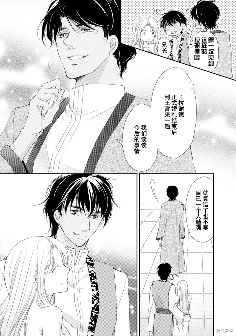 《沙漠王子与海盗公主》漫画最新章节短篇免费下拉式在线观看章节第【52】张图片