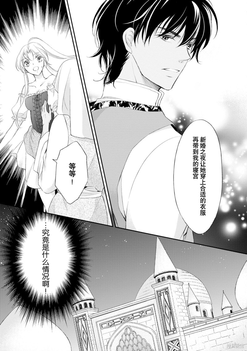 《沙漠王子与海盗公主》漫画最新章节短篇免费下拉式在线观看章节第【26】张图片