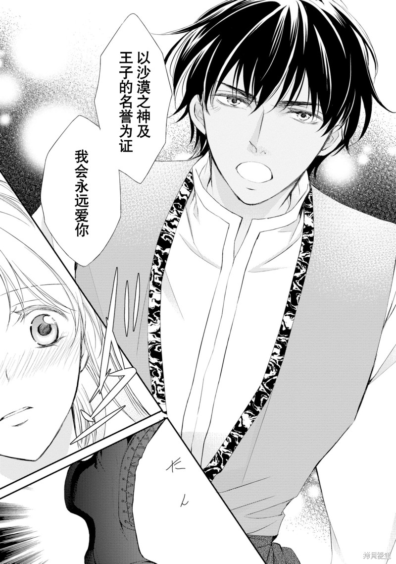 《沙漠王子与海盗公主》漫画最新章节短篇免费下拉式在线观看章节第【126】张图片