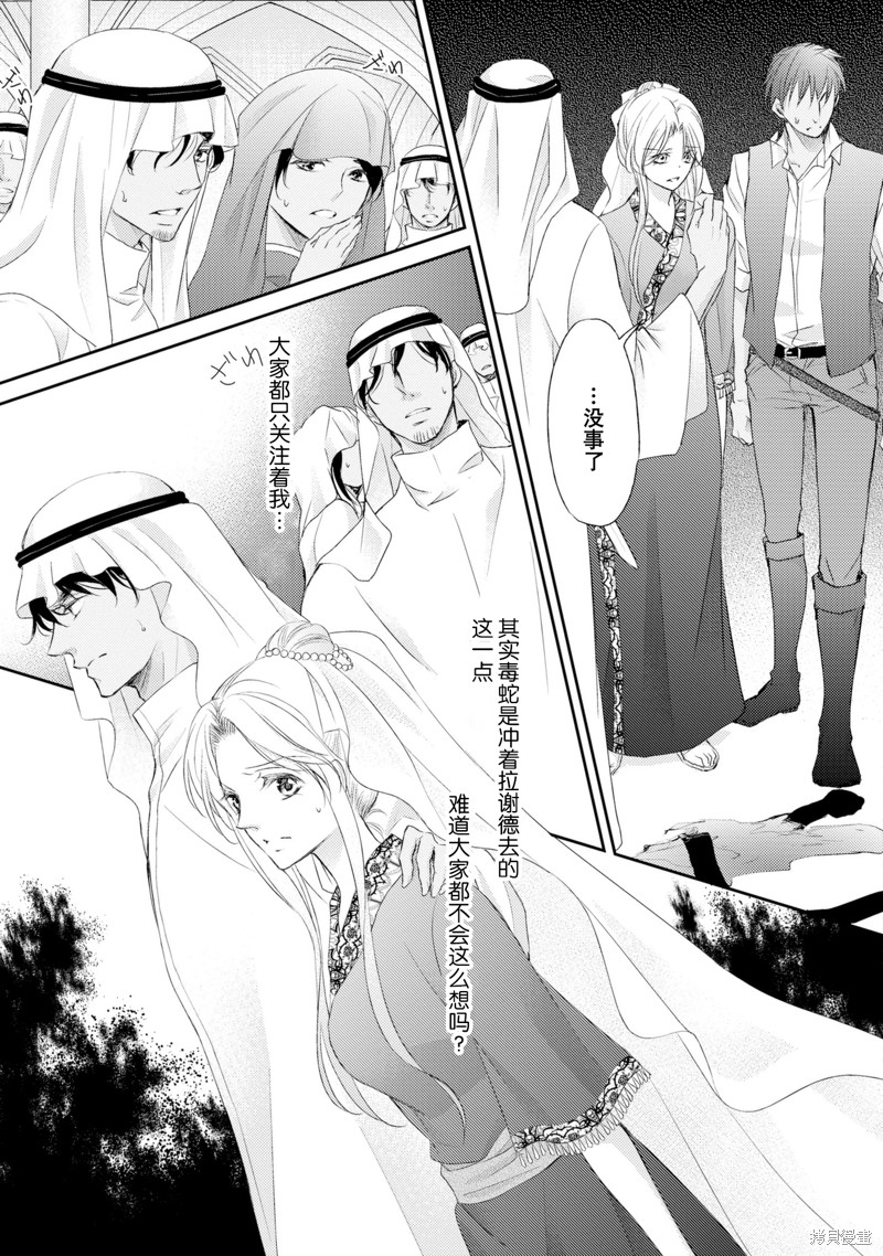 《沙漠王子与海盗公主》漫画最新章节短篇免费下拉式在线观看章节第【64】张图片