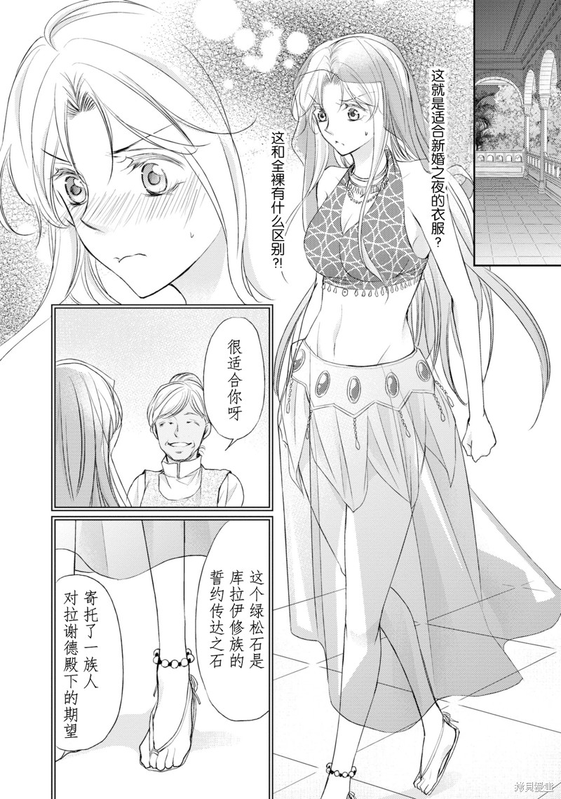 《沙漠王子与海盗公主》漫画最新章节短篇免费下拉式在线观看章节第【27】张图片