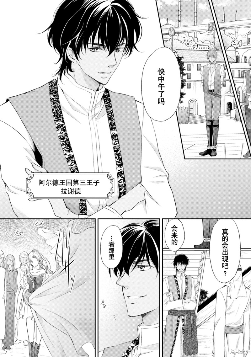 《沙漠王子与海盗公主》漫画最新章节短篇免费下拉式在线观看章节第【4】张图片