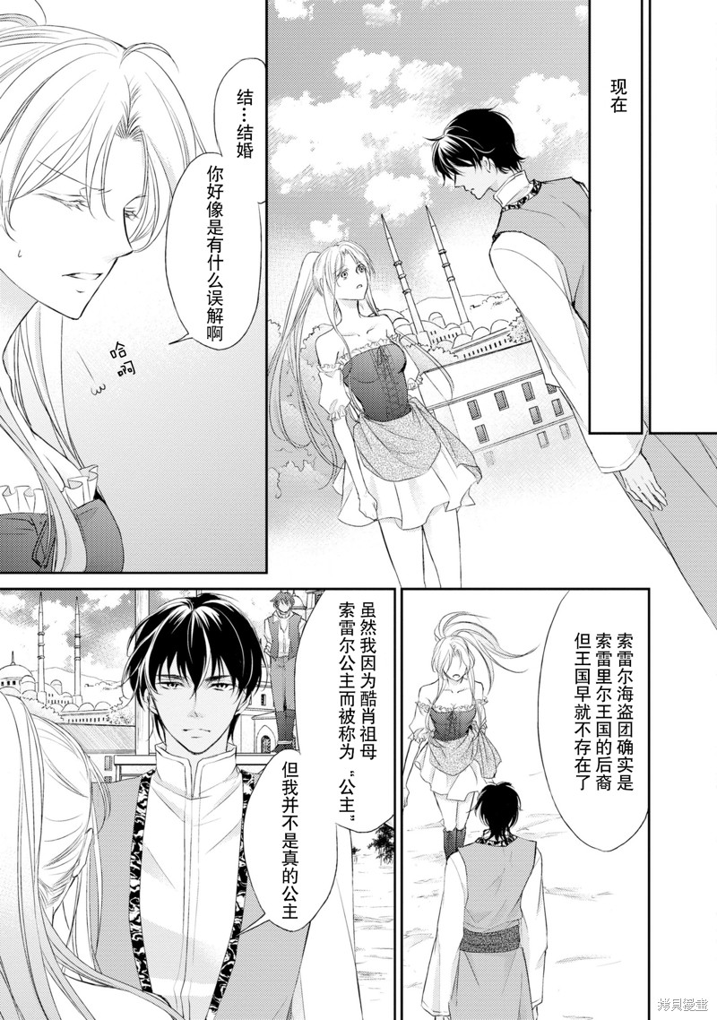 《沙漠王子与海盗公主》漫画最新章节短篇免费下拉式在线观看章节第【14】张图片