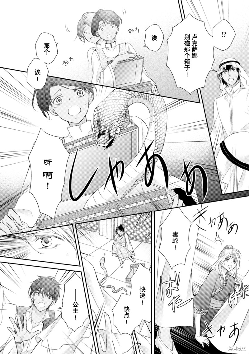 《沙漠王子与海盗公主》漫画最新章节短篇免费下拉式在线观看章节第【61】张图片