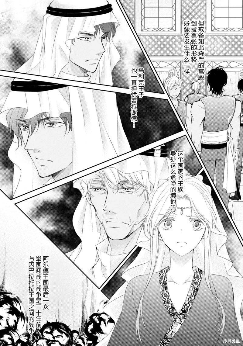 《沙漠王子与海盗公主》漫画最新章节短篇免费下拉式在线观看章节第【56】张图片