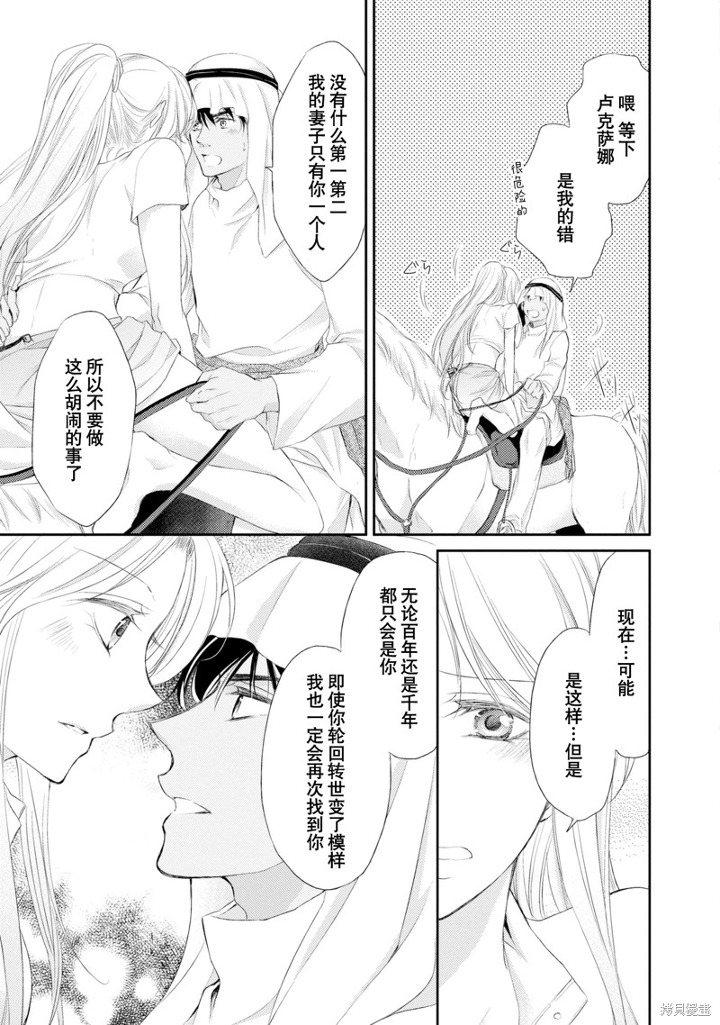 《沙漠王子与海盗公主》漫画最新章节短篇免费下拉式在线观看章节第【94】张图片