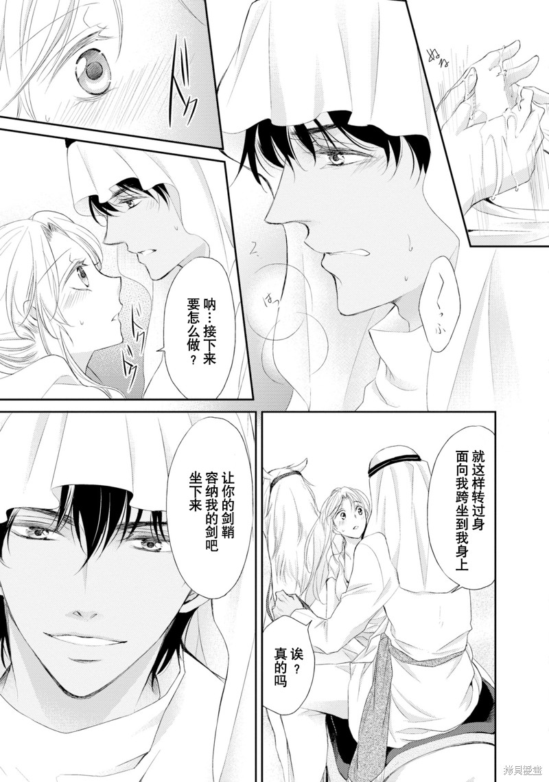 《沙漠王子与海盗公主》漫画最新章节短篇免费下拉式在线观看章节第【92】张图片