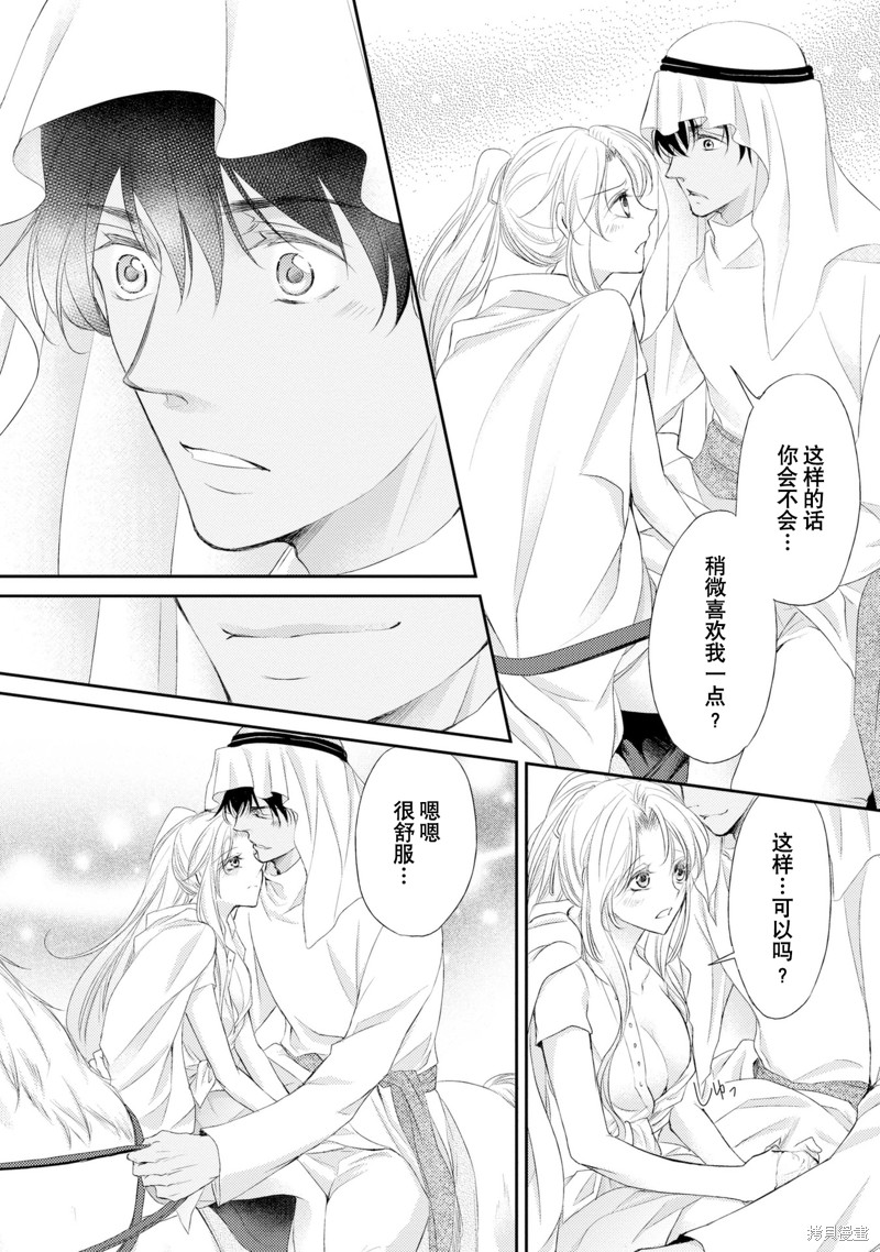 《沙漠王子与海盗公主》漫画最新章节短篇免费下拉式在线观看章节第【91】张图片