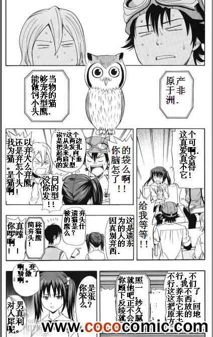 《Sket Dance》漫画最新章节第129话免费下拉式在线观看章节第【5】张图片