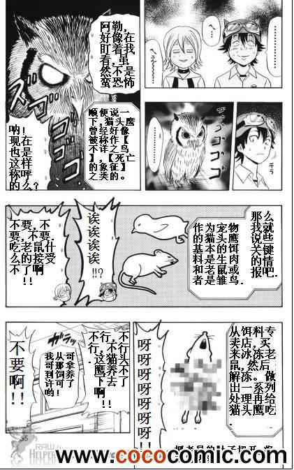 《Sket Dance》漫画最新章节第129话免费下拉式在线观看章节第【7】张图片