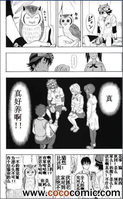 《Sket Dance》漫画最新章节第129话免费下拉式在线观看章节第【10】张图片