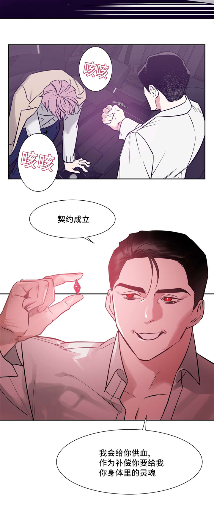 《献给你我的血与灵魂》漫画最新章节第5话免费下拉式在线观看章节第【11】张图片