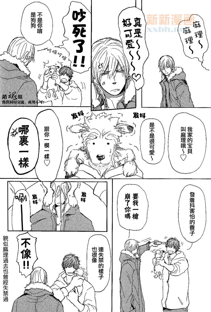 《呼唤不来的金和猫咪》漫画最新章节番外免费下拉式在线观看章节第【26】张图片