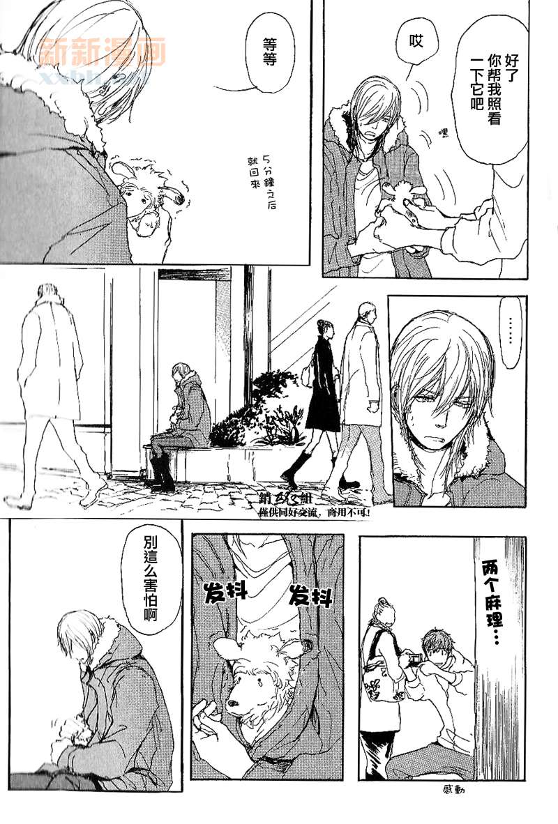 《呼唤不来的金和猫咪》漫画最新章节番外免费下拉式在线观看章节第【27】张图片