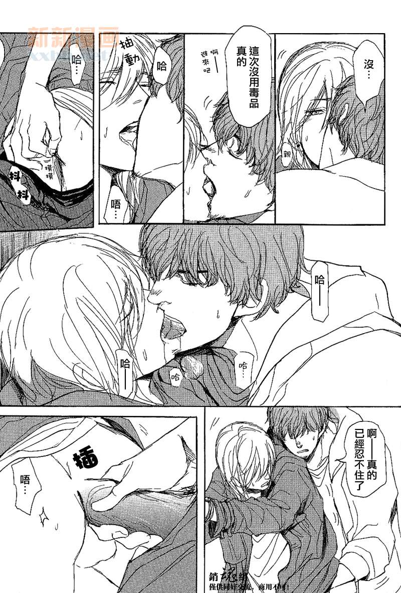 《呼唤不来的金和猫咪》漫画最新章节番外免费下拉式在线观看章节第【11】张图片