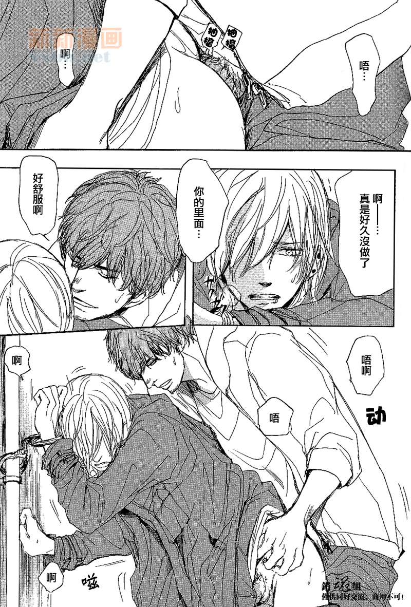 《呼唤不来的金和猫咪》漫画最新章节番外免费下拉式在线观看章节第【13】张图片