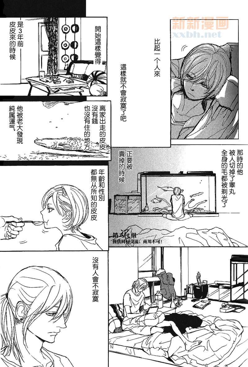 《呼唤不来的金和猫咪》漫画最新章节第2话 后篇免费下拉式在线观看章节第【3】张图片