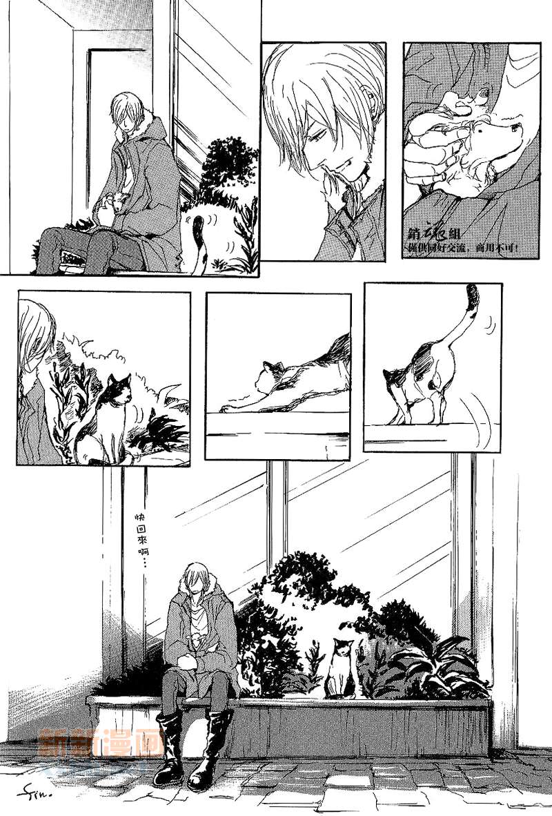 《呼唤不来的金和猫咪》漫画最新章节番外免费下拉式在线观看章节第【28】张图片