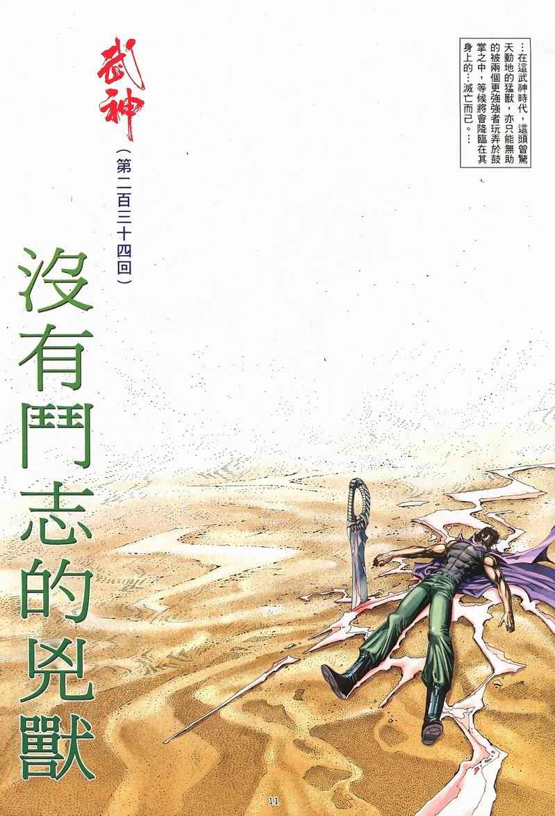 《武神》漫画最新章节第234回免费下拉式在线观看章节第【11】张图片