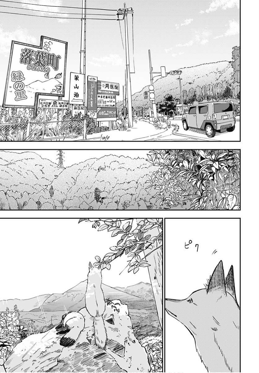 《与貍猫和狐貍的乡村生活》漫画最新章节第1话免费下拉式在线观看章节第【4】张图片