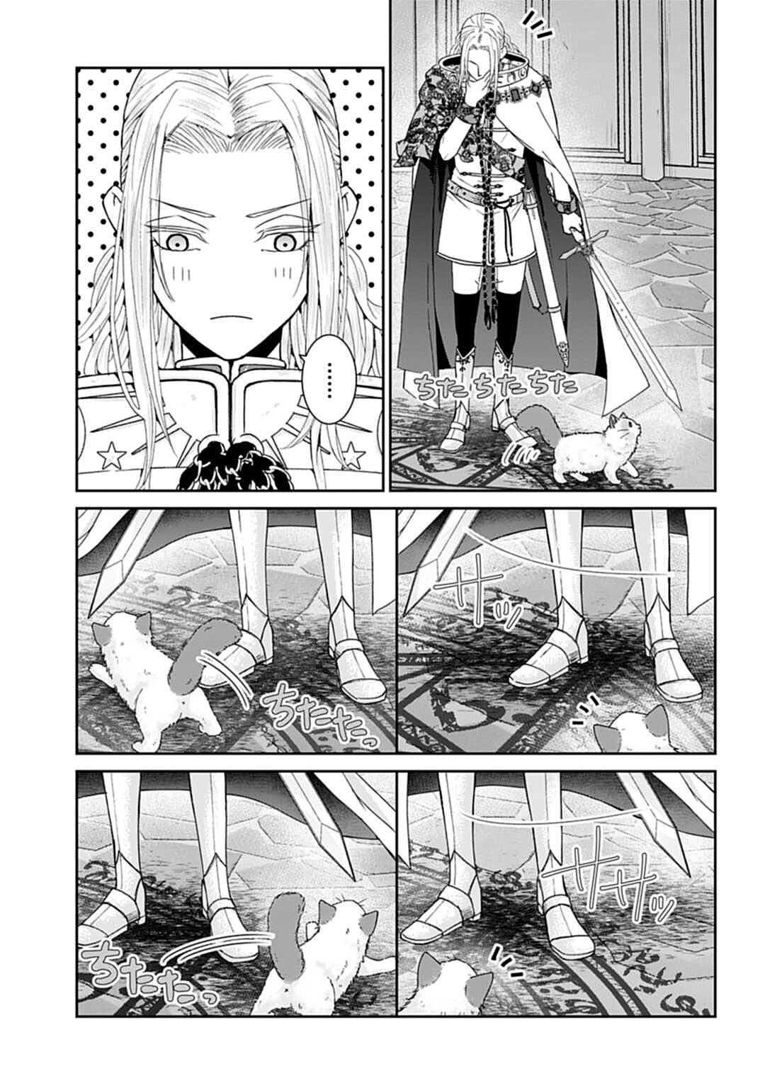 《异世界召唤来的勇者是猫咪》漫画最新章节第2话免费下拉式在线观看章节第【11】张图片