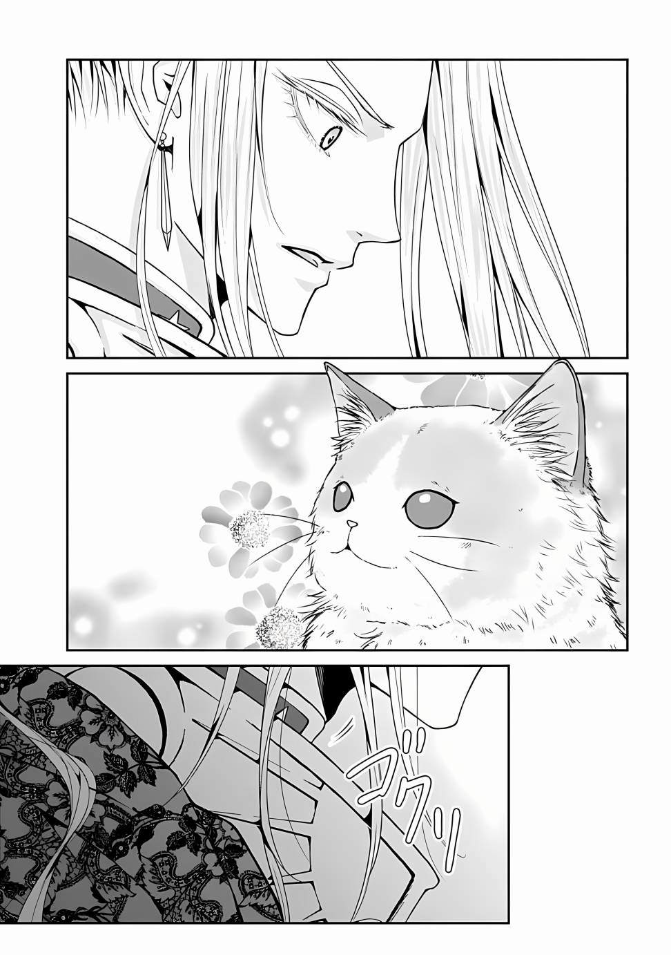 《异世界召唤来的勇者是猫咪》漫画最新章节第1话免费下拉式在线观看章节第【26】张图片