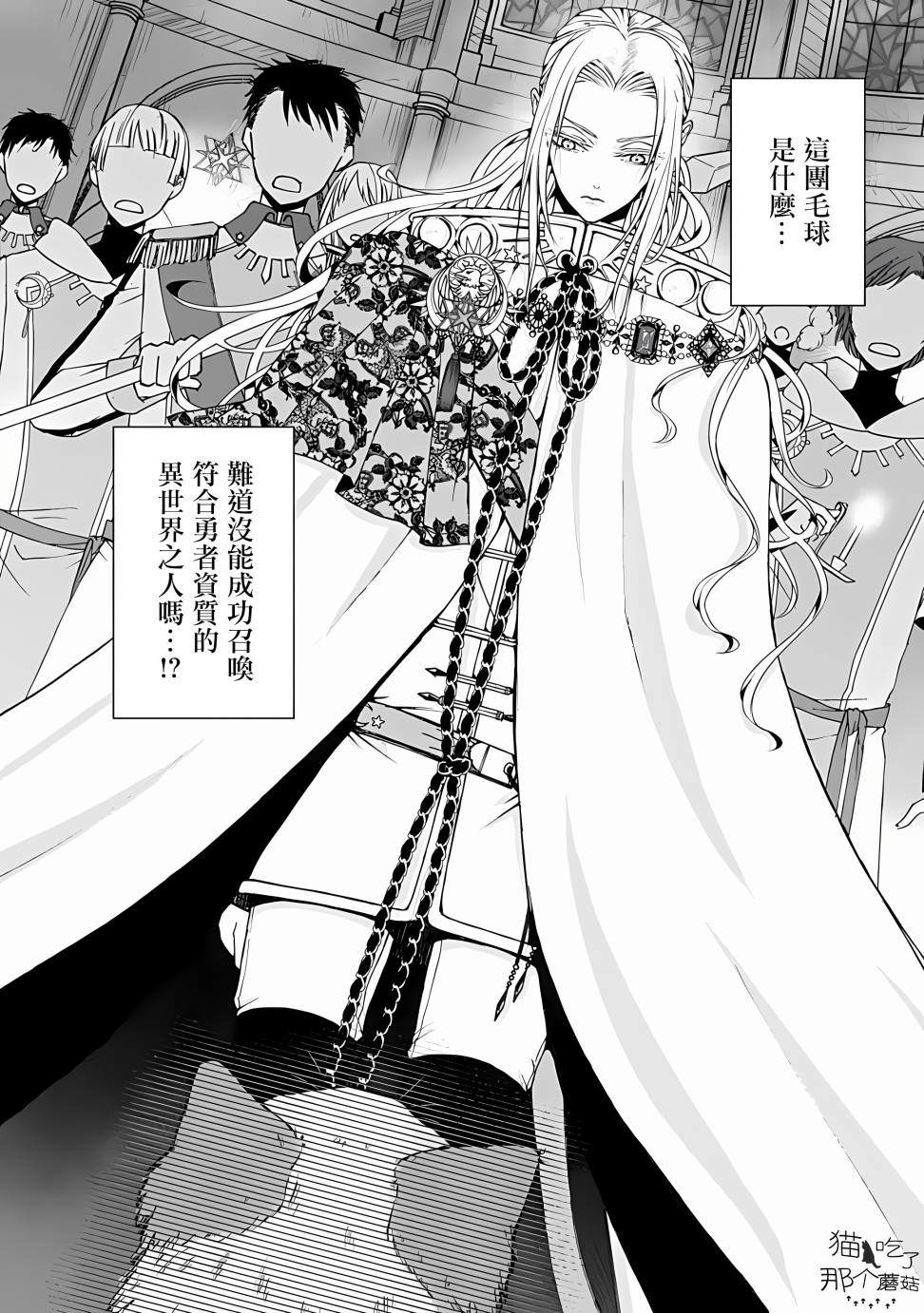 《异世界召唤来的勇者是猫咪》漫画最新章节第1话免费下拉式在线观看章节第【12】张图片