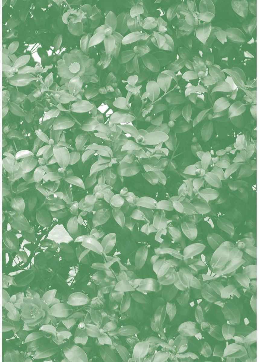 《14岁恋爱》漫画最新章节番外13免费下拉式在线观看章节第【13】张图片