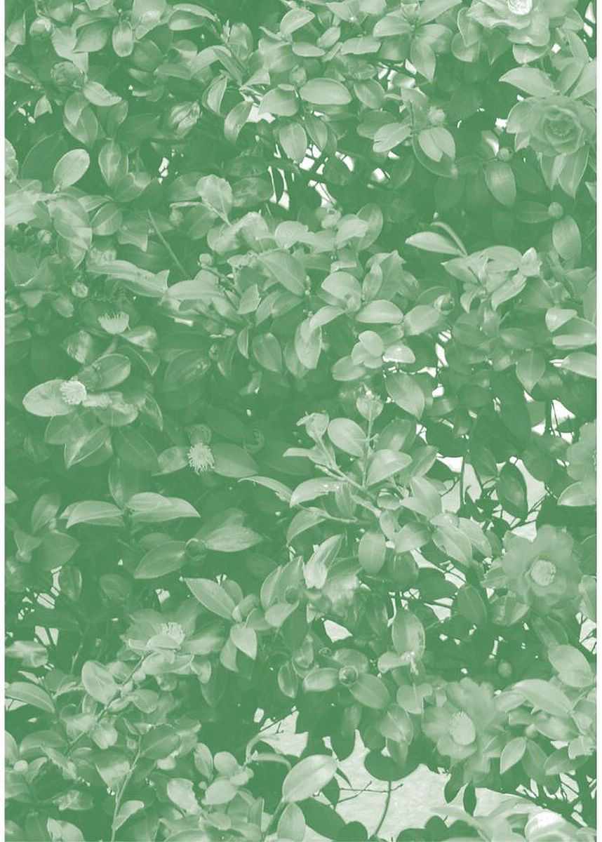 《14岁恋爱》漫画最新章节番外13免费下拉式在线观看章节第【14】张图片