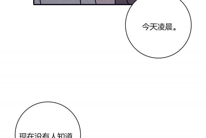 《马尔赛》漫画最新章节第81话免费下拉式在线观看章节第【35】张图片