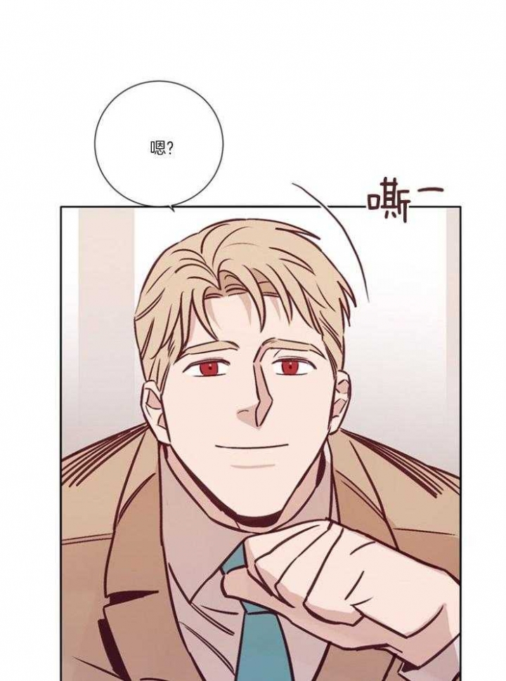 《马尔赛》漫画最新章节第33话免费下拉式在线观看章节第【19】张图片